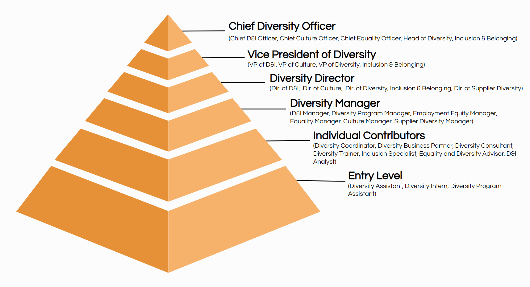 diversity title hierarchy org chart