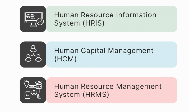 How to Choose the Best HR Software for Your Business?